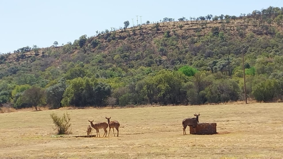 0 Bedroom Property for Sale in Rustenburg Rural North West